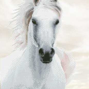 KaiserColour Coloring Book Bonjour Paris