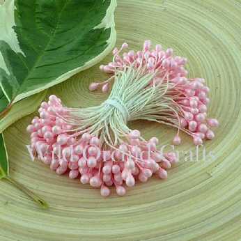 Baby Pink Double Head Pearl Stamens