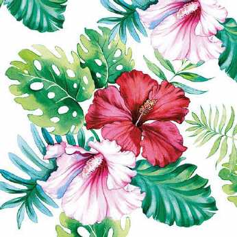 Servietten Hibiscus Floral White