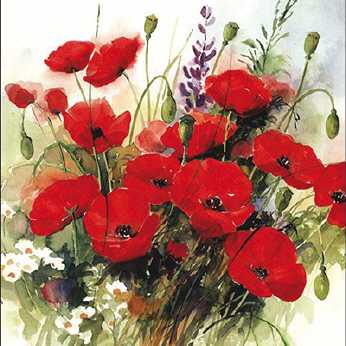 Servietten Wild Poppies