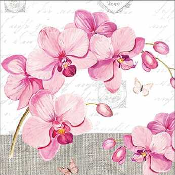 Servietten Orchids with Love