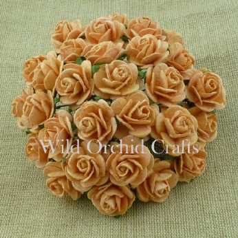 5 Stk. Rosen open roses peach 25 mm