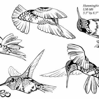 Stempelplatte Hummingbirds 1