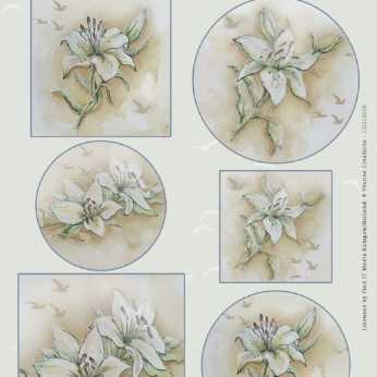 Scenery Stanzbogen Aquarella White Lily