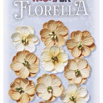 Florella Blüten beige