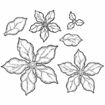 Creative Expressions Shaded Poinsettia
