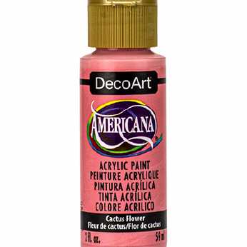 Americana acrylic Paint Cactus Flower